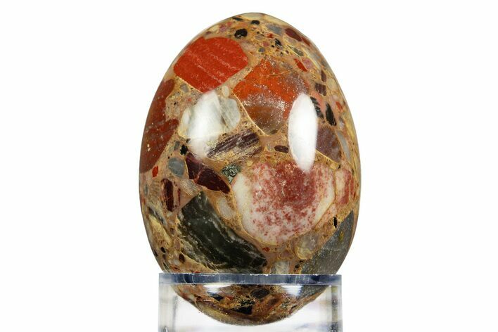 Polished Chert Breccia Egg - Western Australia #308786